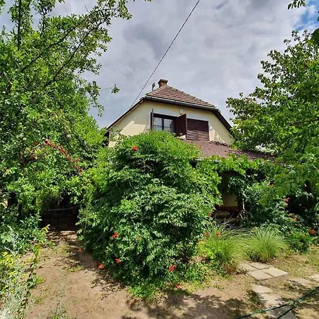 In - Balaton 43123 Siófok